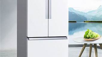 西门子冰箱质量_西门子冰箱质量