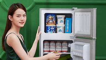 冰箱排行榜tcl_冰箱排行榜十大名牌