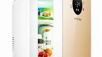 迷你冰箱排名前十名_迷你冰箱排名前十名品牌