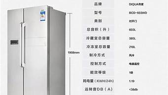 一般双开门冰箱尺寸_一般双开门冰箱尺寸长宽高